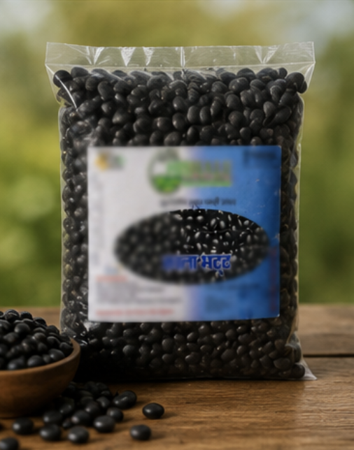 Black Soybean (Kala Bhatt)